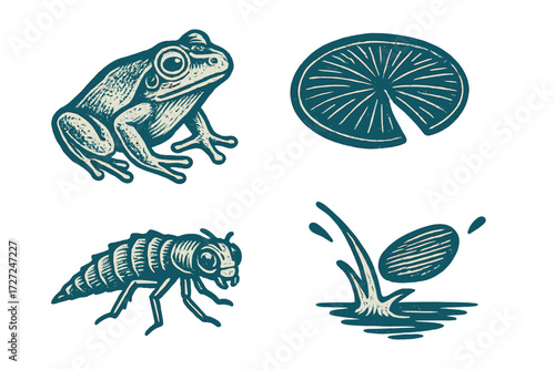 Stylized pond life elements featuring a frog, aquatic insect larva, lily pad, and water splash, depicting a freshwater ecosystem