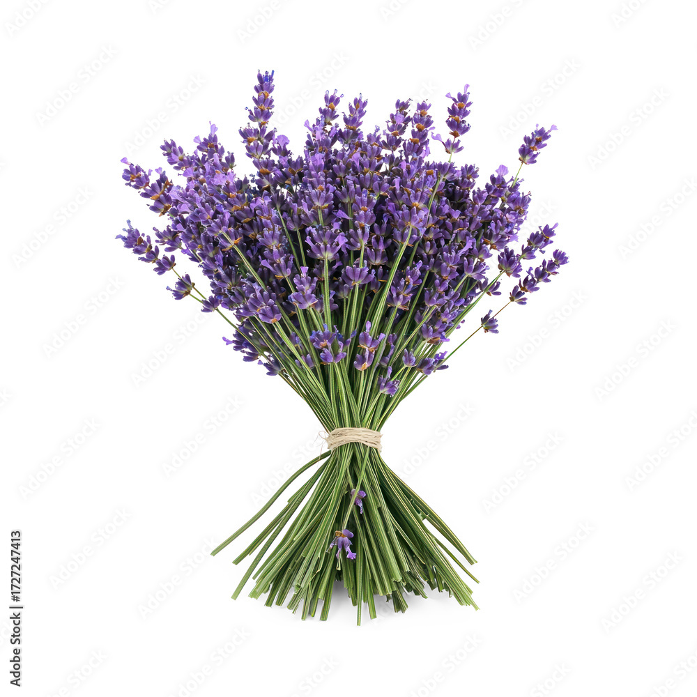 Obraz premium A bouquet of lavender flowers on a transparent background
