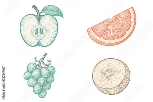 Fresh apple, orange, grapes, and banana in classic etched style