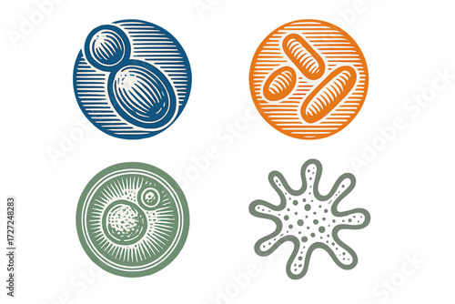 Set of diverse microscopic organisms including bacteria yeast and various cell structures for scientific and medical concepts