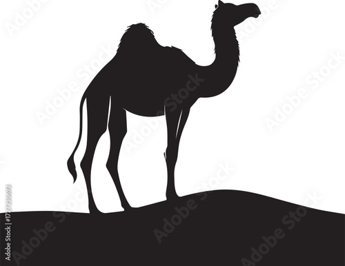 Camel in Black & White | Minimalist Desert Silhouette Vector