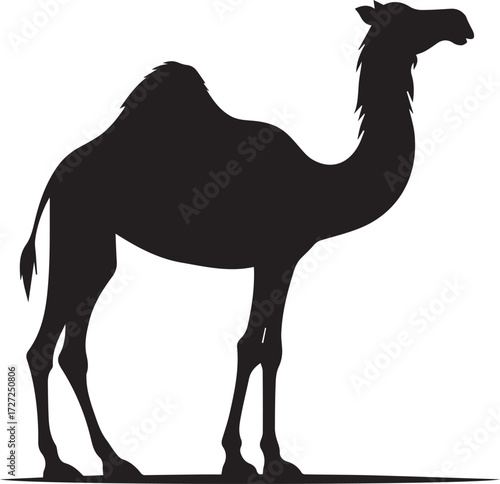 Camel in Black & White | Minimalist Desert Silhouette Vector