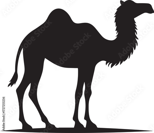 Camel in Black & White | Minimalist Desert Silhouette Vector
