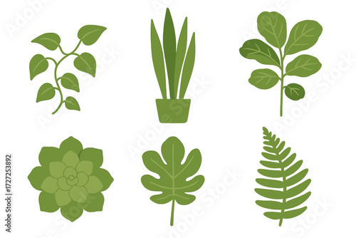 Stylized collection of various green house plants, potted plants, and diverse botanical foliage elements on a clean white background