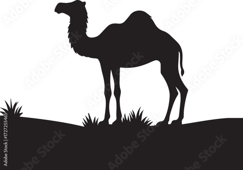 Camel in Black & White | Minimalist Desert Silhouette Vector