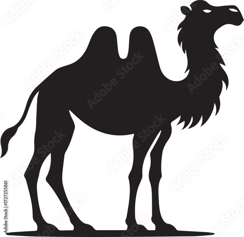 Camel in Black & White | Minimalist Desert Silhouette Vector
