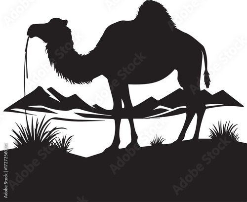 Camel in Black & White | Minimalist Desert Silhouette Vector