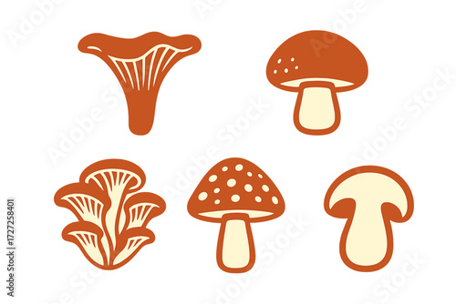 Stylized forest mushrooms and fungi in various shapes and forms for autumn and nature designs
