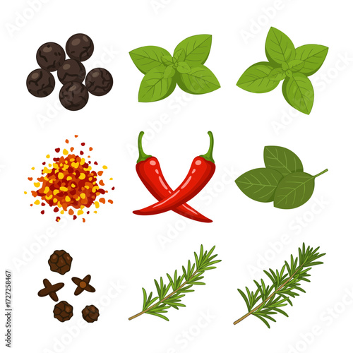 Assortment of nine distinct spice and herb illustrations against a white background