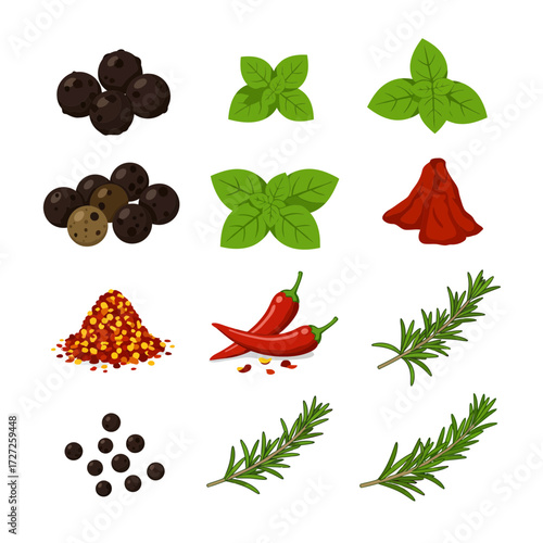 Collection of nine vector illustrations of various spices and herbs