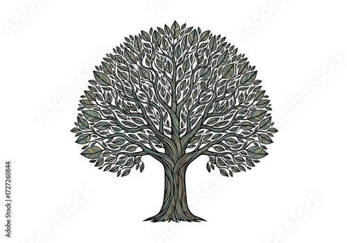 Detailed illustration of a large deciduous tree with a full canopy of leaves.
