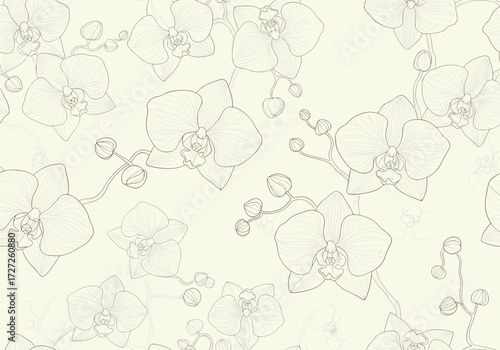 Delicate Orchid Flower Pattern Sketch on Cream Background.