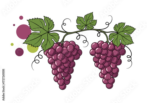 Two Bunches of Ripe Red Grapes with Green Leaves and Swirling Vines.