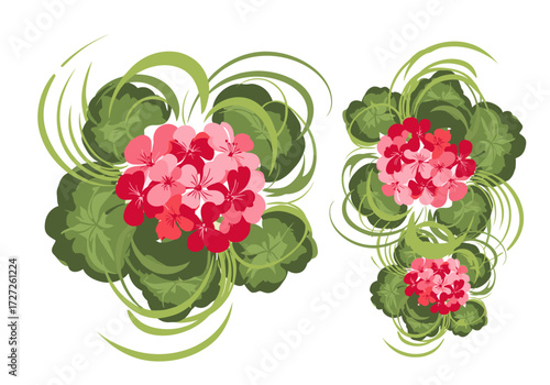 Two clusters of pink geranium flowers with green leaves and swirling green stems.
