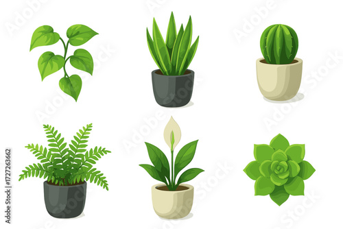 Various indoor plants displayed in different pots showcasing greenery and indoor decoration ideas