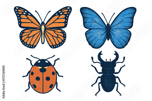 Colorful butterfly and insect illustrations showcasing diverse species in a vibrant design setting