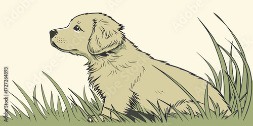 Adorable golden retriever puppy sitting in grass