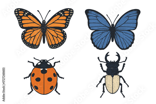 Colorful assortment of butterflies and beetles illustrated on a simple background