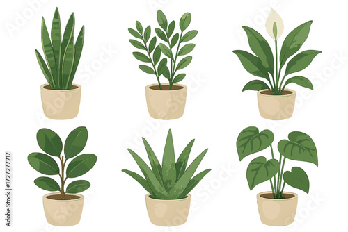 Different types of indoor plants arranged in cream-colored pots for a fresh and vibrant decor