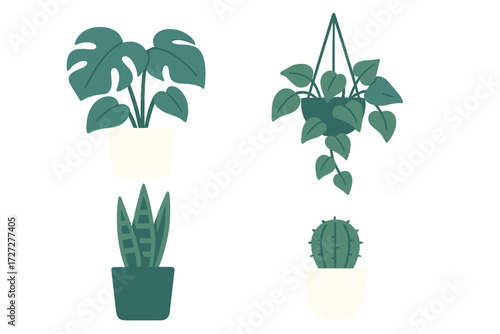 Indoor plants enhance home decor with greenery and freshness in various styles and shapes