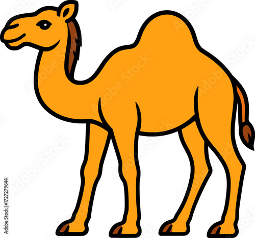 camel vector illustration