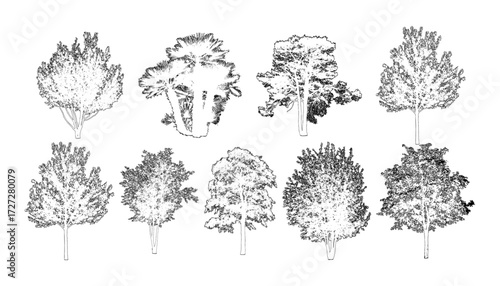front View Vector Icons of Trees and Plants for Floor Plan and Architectural Design Projects	