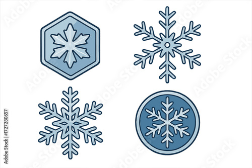 Various snowflake designs showcasing unique shapes and patterns displayed on a white background