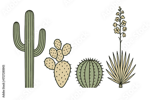 Colorful desert plants showcase diverse shapes and forms in a vibrant landscape illustration