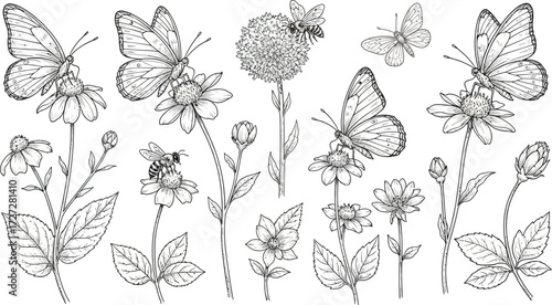 Butterfly and bee line art illustration vector drawing nature insects flowers