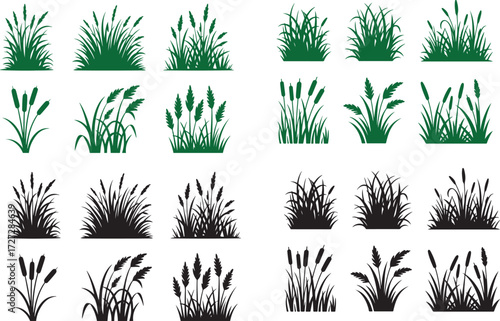 Wild grass on the river bank. Swamp coastal plants.Vector silhouette of meadow on white background. Symbol of nature with grass.Vector silhouette of meadow on white background.