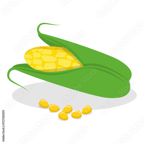 3D Isometric Flat Vector Set of Cereals , Grain Plants. Item 2