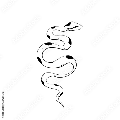 Boa Constrictor. Boa Constrictor simple black and white line art vector logo