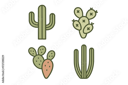 Various types of cacti displayed in a simple, colorful design representing desert life