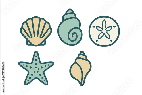 Different types of marine shells and sea stars found along the beach in summer