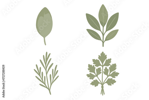 Variety of green herbs displayed in a simple, elegant arrangement on a white background