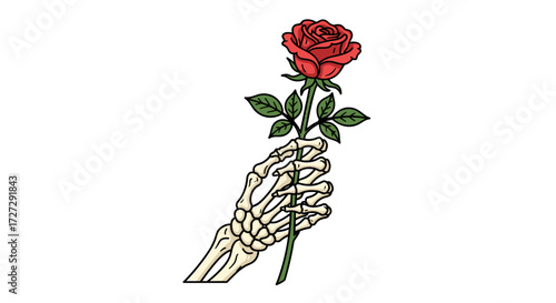 Skeletal hand holding vibrant red rose, profound symbolic vector illustration representing love, mortality, isolated on transparent background, SVG.