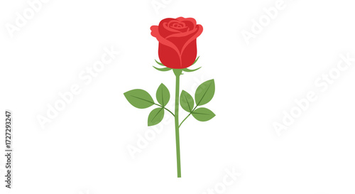 Vibrant single red rose flower with elegant green stem and leaves, a beautiful blossoming bloom, vector illustration, isolated on transparent background, svg.