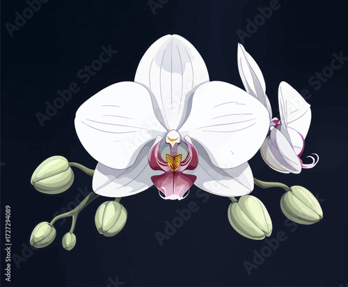 Elegant White Orchids Bloom in Dark Elegance