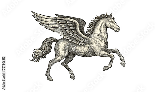 Vintage pegasus engraving on a golden background - ideal for art and design projects