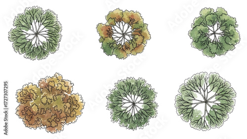 Architectural Tree Line Drawings – Minimal CAD Side View Forest Section Outline Set for Landscape Design AI EPS PNG JPEG.

