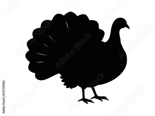 Silhouette vector illustration of a turkey facing right for thanksgiving and farming Vector