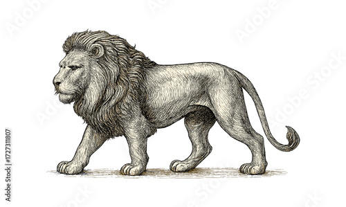 Intricate ornamental lion illustration - elegant design for posters and prints