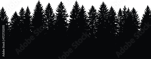 Silhouetted evergreen forest landscape vector art vector