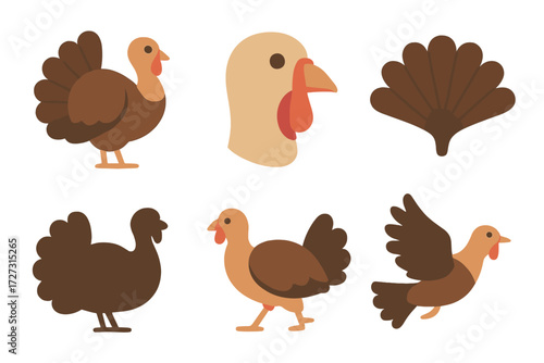 Neo-Flat Turkey Icons. Basic Turkey Bird set of icons in neo-flat style: standing turkey, turkey head, feather fan, turkey silhouette, walking turkey,