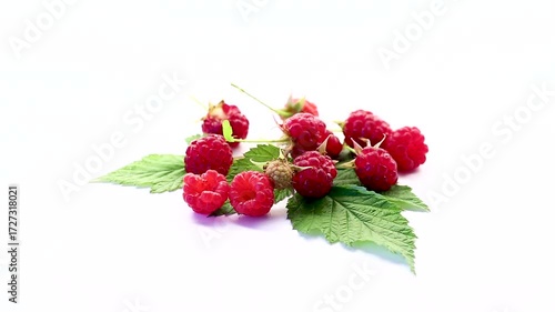 Summer raspberries with leaves for healthy eating