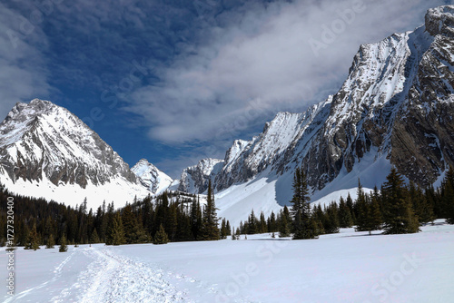 Wallpaper Mural Breathtaking view from the Chester lake hiking trail in Kananaskis Alberta Canada Torontodigital.ca