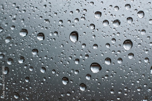 Wallpaper Mural Water droplets on a gray surface Torontodigital.ca