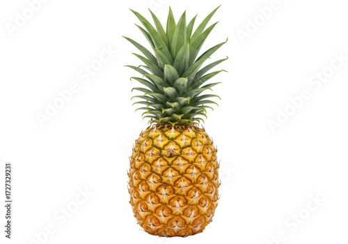 Isolated Tropical Pineapple Fruit, Exotic Vitamin Rich Food, Nutritious Diet, Healthy Dessert