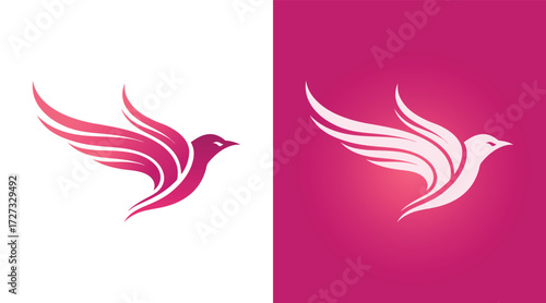 bird design