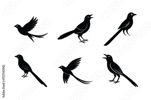 Set of different linocut styles of black drongo